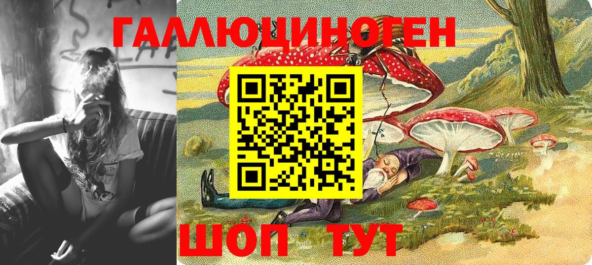 Псилоцибиновые грибы Psilocybine cubensis Таганрог
